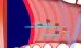 View Relief Racer viral email