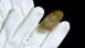 View Jacko's Gloves viral email