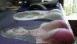 View Sexy Mousemats viral email