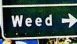 View Crazy Roadsigns viral email