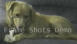 View Don't Touch My Bone viral email