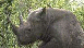 View Things You Dont See At The Zoo viral email
