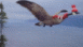View Bird Flu viral email
